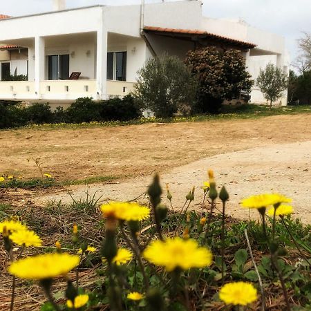 The Hillhouse Near Alexandroupolis Villa Exterior photo